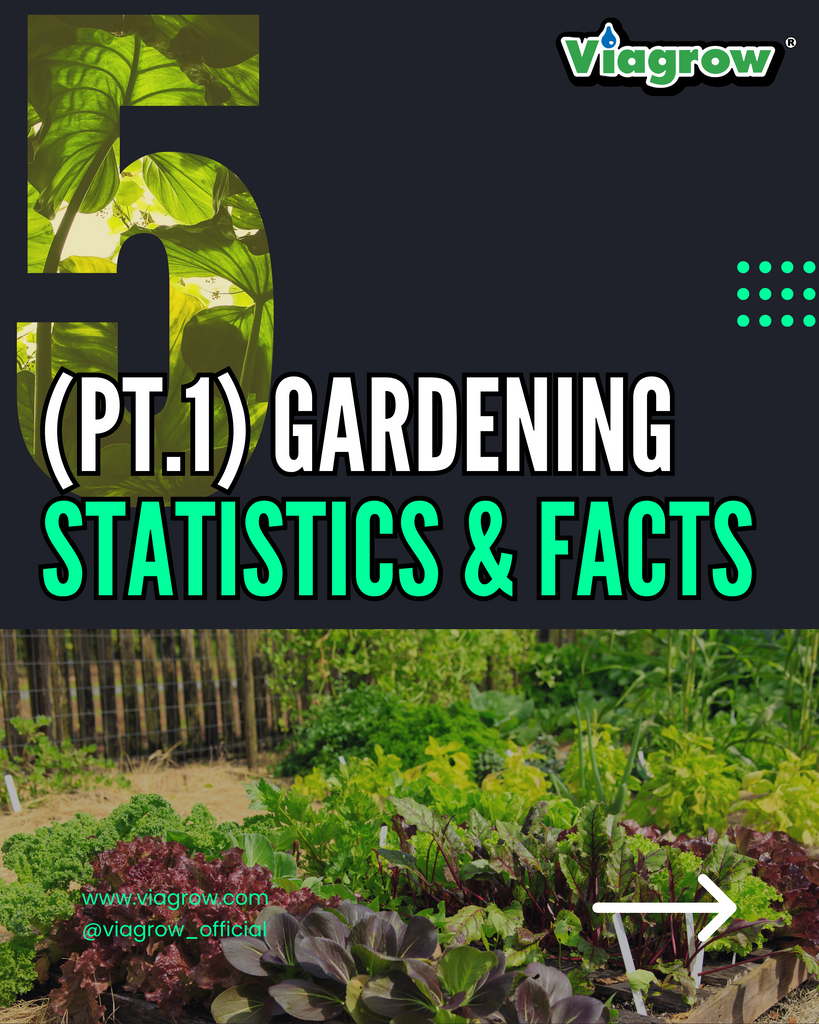 Gardening Statistics and Facts - Cultivating Change: The Gardening Surge Amidst a Global Pandemic