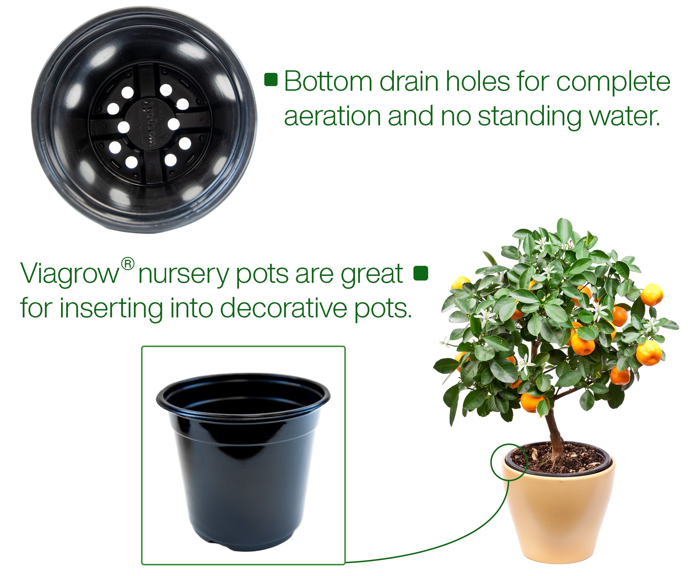 1/2 Gal. Black Black Plastic Nursery Pot (8,100 Per Pallet) also called a 1-gallon trade pot.