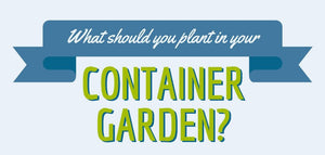 Container Gardening 101: Grow Your Own Food