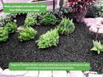 Load image into Gallery viewer, Viagrow Black, Crumb Rubber Playground &amp; Landscape Mulch, NO Dye, 75 Cubic Foot, Pallet
