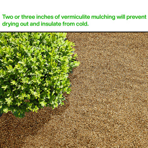 Non, la vermiculite horticole ne contient pas d'amiante