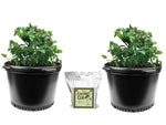 Load image into Gallery viewer, Viagrow 10 Gal Nursery Pot Container Garden 2-Pack Coconut Coir
