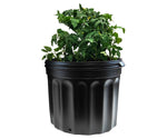 Charger l&#39;image dans la galerie, Viagrow 7 Gal. (11.74 in. x 11.5 in.) Plastic Nursery Gardening Trade Pots (240 Partial Pallet)

