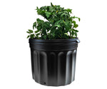 Charger l&#39;image dans la galerie, 7 gallons. 11,74 po x 11,5 po Pots commerciaux de jardinage de pépinière en plastique (palette de 1440 unités)
