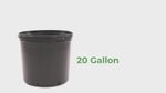Load and play video in Gallery viewer, 20 Gal. Round Plastic Nursery Garden Pots (20.4 actual gallons/77.22 l/3.17 cu. ft.) (260 unit Pallet)
