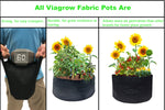 Load image into Gallery viewer, Viagrow 10 Gallon Fabric Pot
