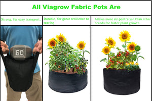 Viagrow 10 Gallon Fabric Pot