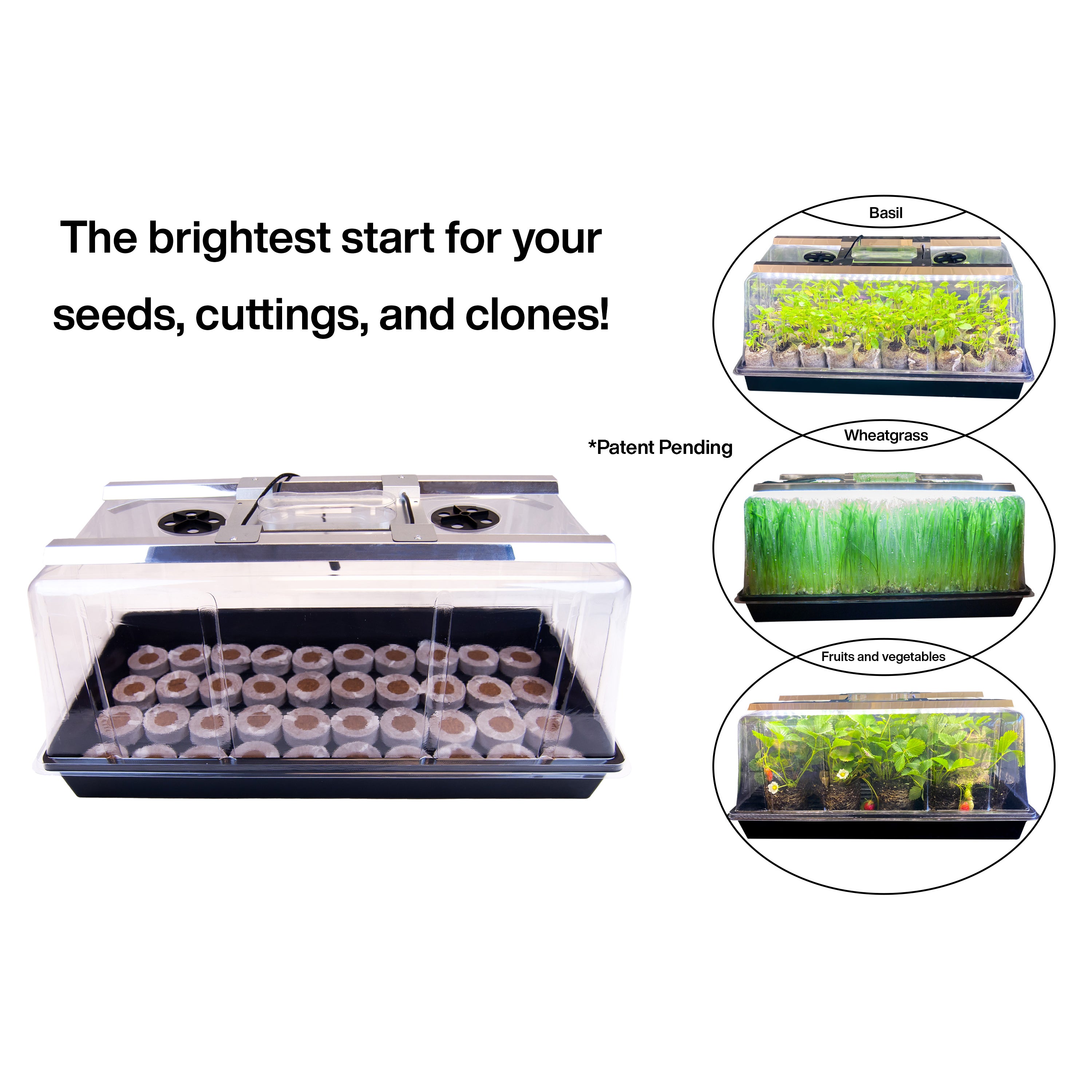 Seedling Station Kit with LED Grow Light, Propagation Dome, Tray and 50 Coir Seedling Starters (case of 5 units)