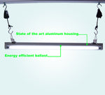 Cargar imagen en el visor de la galería, ViaVolt 2 ft. T5 High 1-Bulb Output Fluorescent Grow Light Fixture, Case of 12
