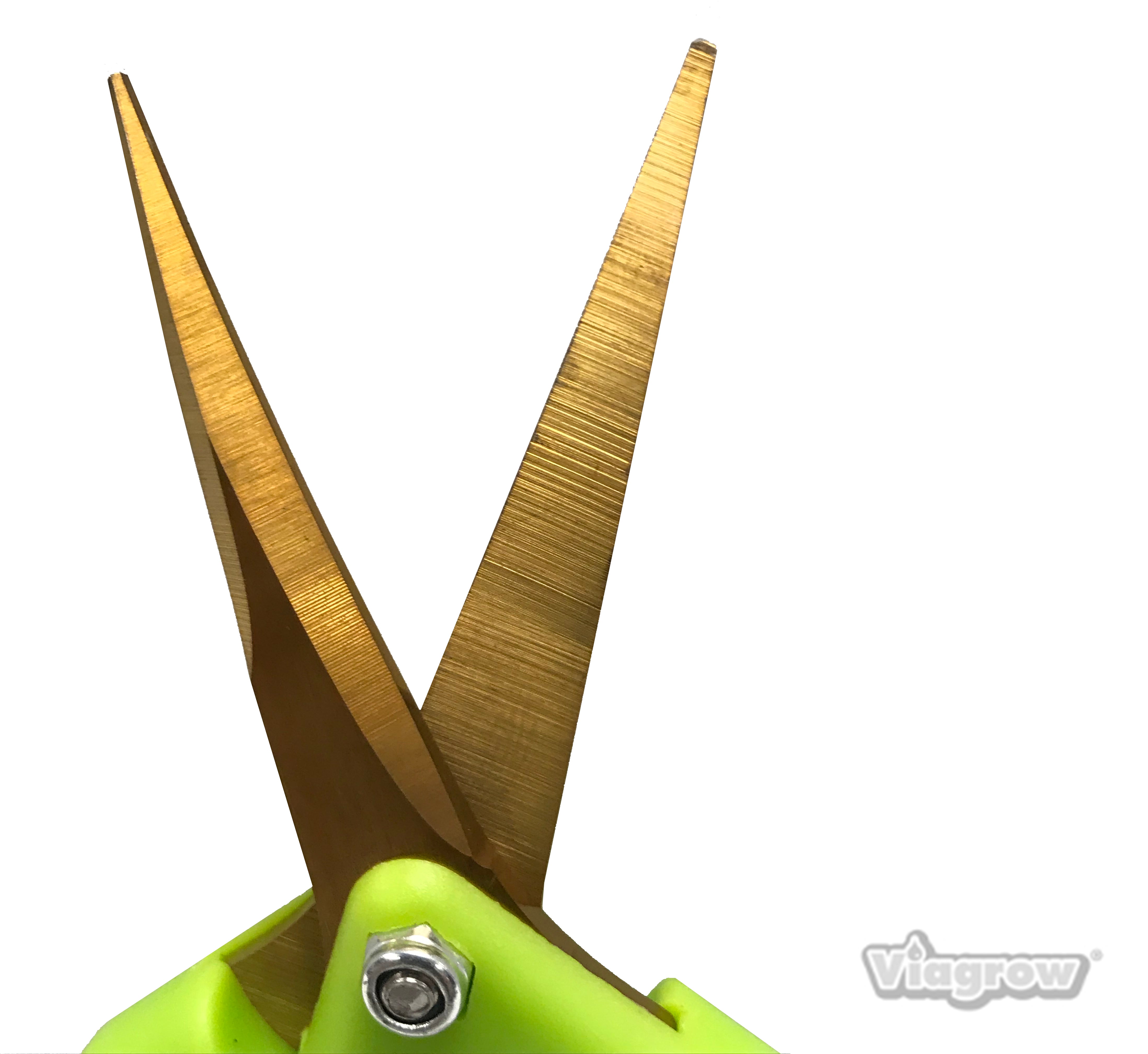 Viagrow Non Soft Grip Micro-Tip Pruning Snip Anti Resin Stick Shears, Straight 24-Pack