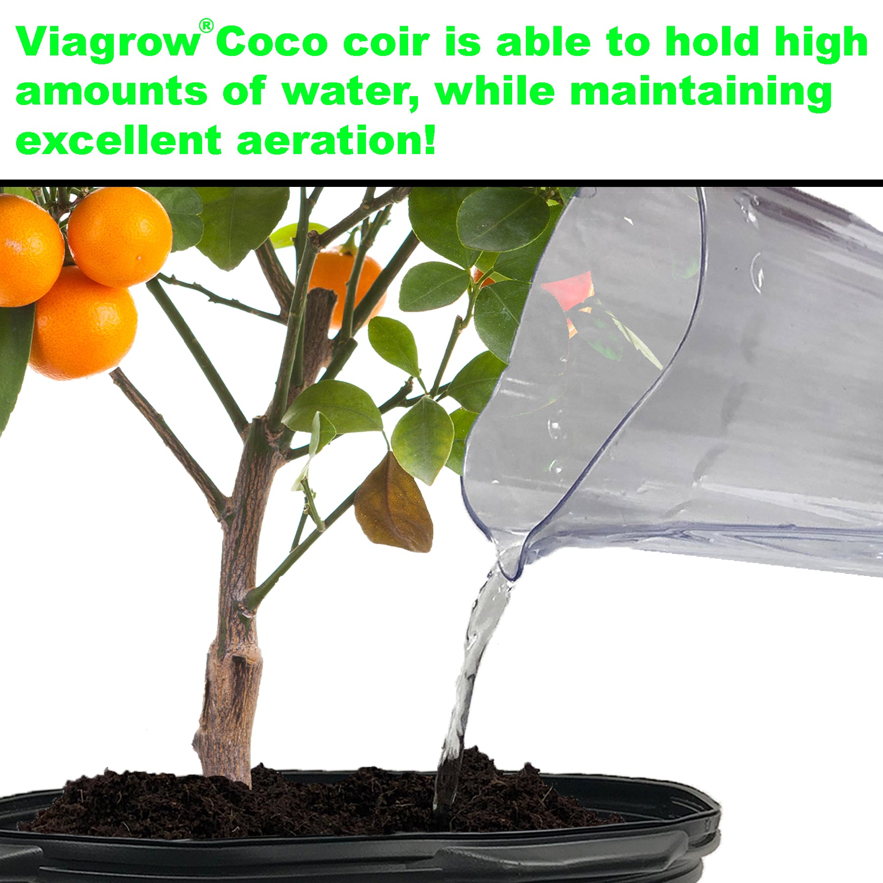 Viagrow 1/2 Gallon Nursery Pot Container Garden, (0.62 gal/2.5qt/2.37), 50-Pack with Coconut Coir