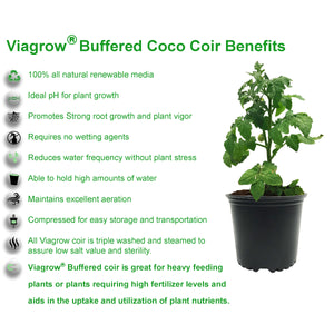 Viagrow Buffered Coco Coir, 5KG (200 Bricks Per Pallet) Compressed Premium Grow Media, 5KG/11lbs - Makes 2 cubic ft / 72 qts / 18 gallons