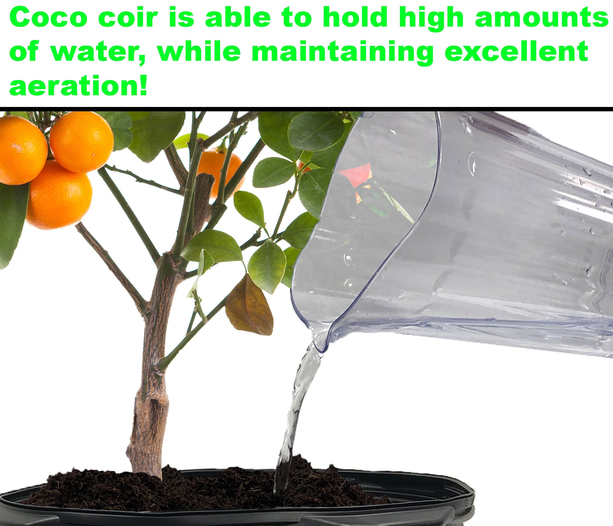 1,4 libras Medio de cultivo de ladrillo de coco de coco sin suelo premium de 650 g (paleta 1.450 unidades)