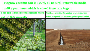 1.4 lbs. 650g Premium Soilless Coconut Coir Brick Grow Media (Pallet 900 units)