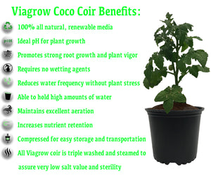 1,4 libras Medio de cultivo de ladrillo de coco de coco sin suelo premium de 650 g (paleta 1.450 unidades)