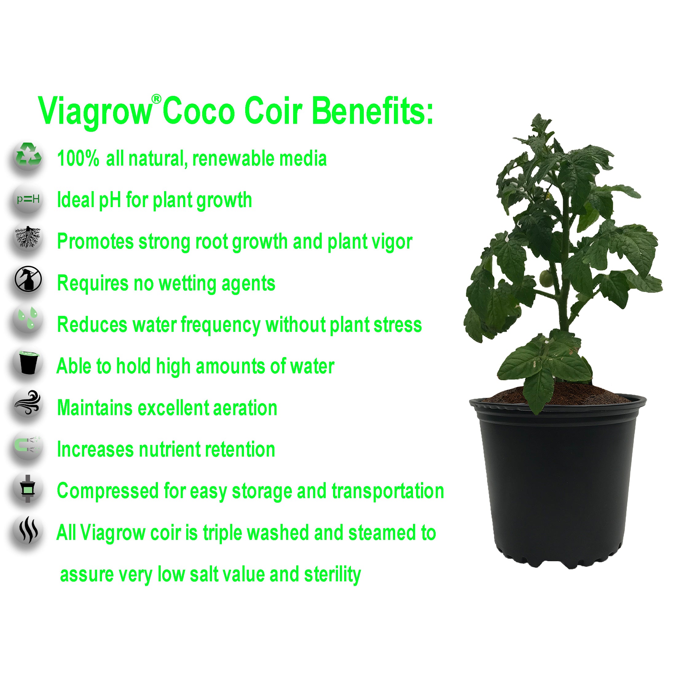 Viagrow 650g (1.4LB) Coco Coir Brick, Multi-Pack