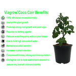 Cargar imagen en el visor de la galería, Viagrow 650g (1.4LB) Coco Coir Brick, Multi-Pack
