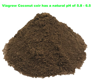 Viagrow 650g (1.4 LB) Coco Coir Brick