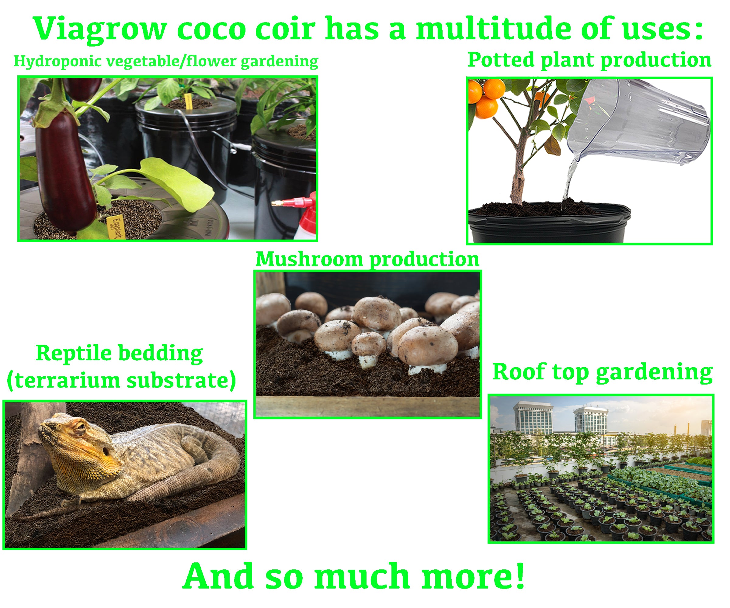 Viagrow Coco Coir Plus Perlite, Premium Grow Media, 70% Coir 30% Perlite,  Resists Compaction, Indoor and Outdoor Gardening 50liter / 53 quarts / 1.7  cubic ft / 13.3 gal / 12KGS, Pallet of 72 Bags – Viagrow