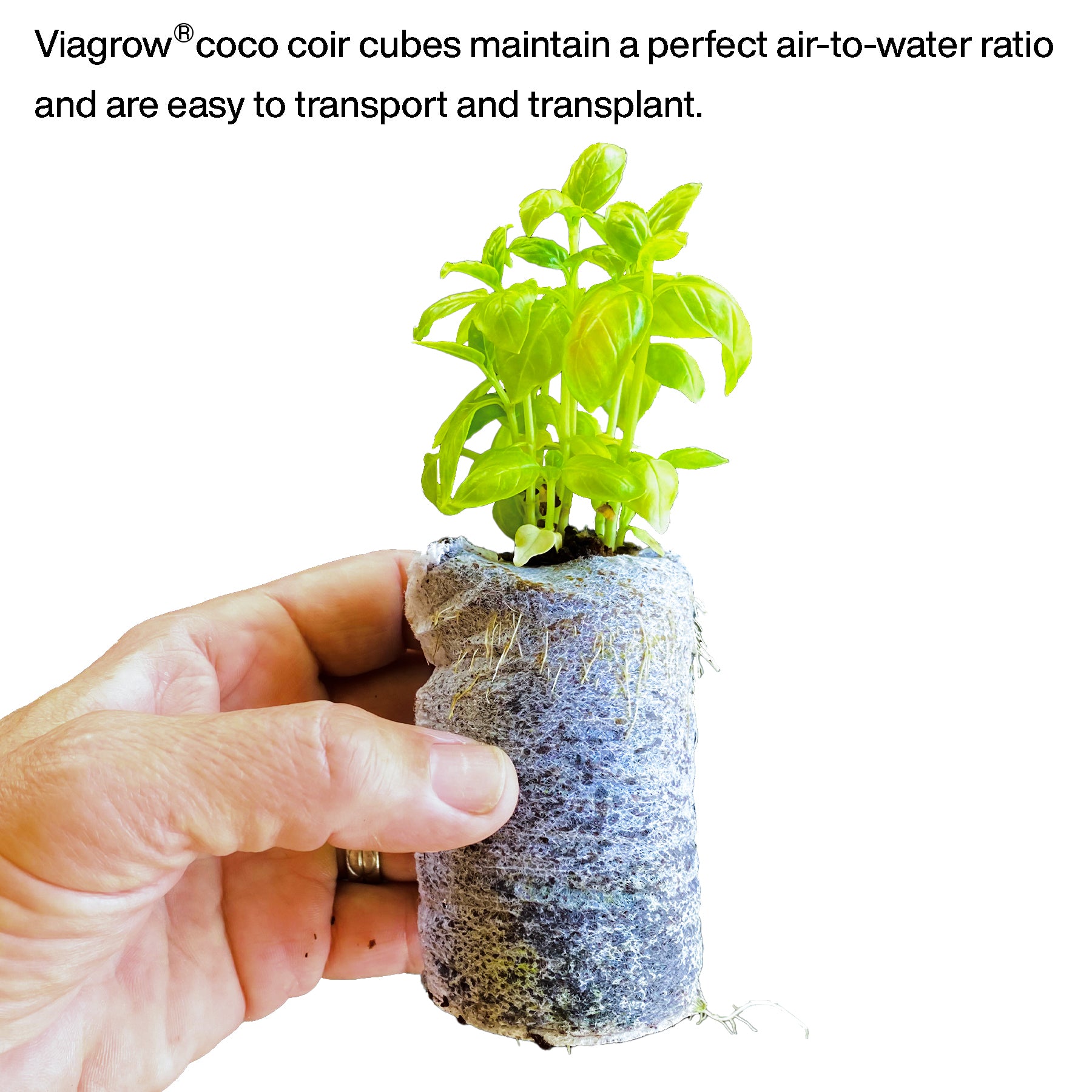 Viagrow Coco Coir Seed Starter Plugs, 50mm, 50-Pack, (Case of 14 Units)