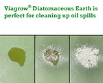 Load image into Gallery viewer, Viagrow Diatomaceous Earth Food Grade, 6 Lbs Bag (Case of 6)
