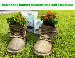 Viagrow Premium Earthworm Castings, Soil Builder, Soil Amendment (4 Pack, 6 Lbs)