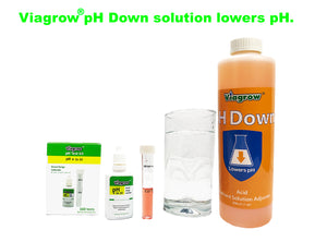 Viagrow pH Solution, Liquid Down QT, Clear