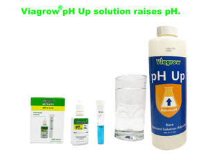 Viagrow pH Solution, Liquid Up QT, Clear
