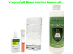 Cargar imagen en el visor de la galería, Viagrow Natural pH Down Adjusting Crystals, LB, Green, (Case of 48)
