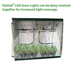 Load image into Gallery viewer, Viavolt 100X LED Grow Light COB, With Cree LED Chip, Full spectrum 6500K / 65w (Case of)
