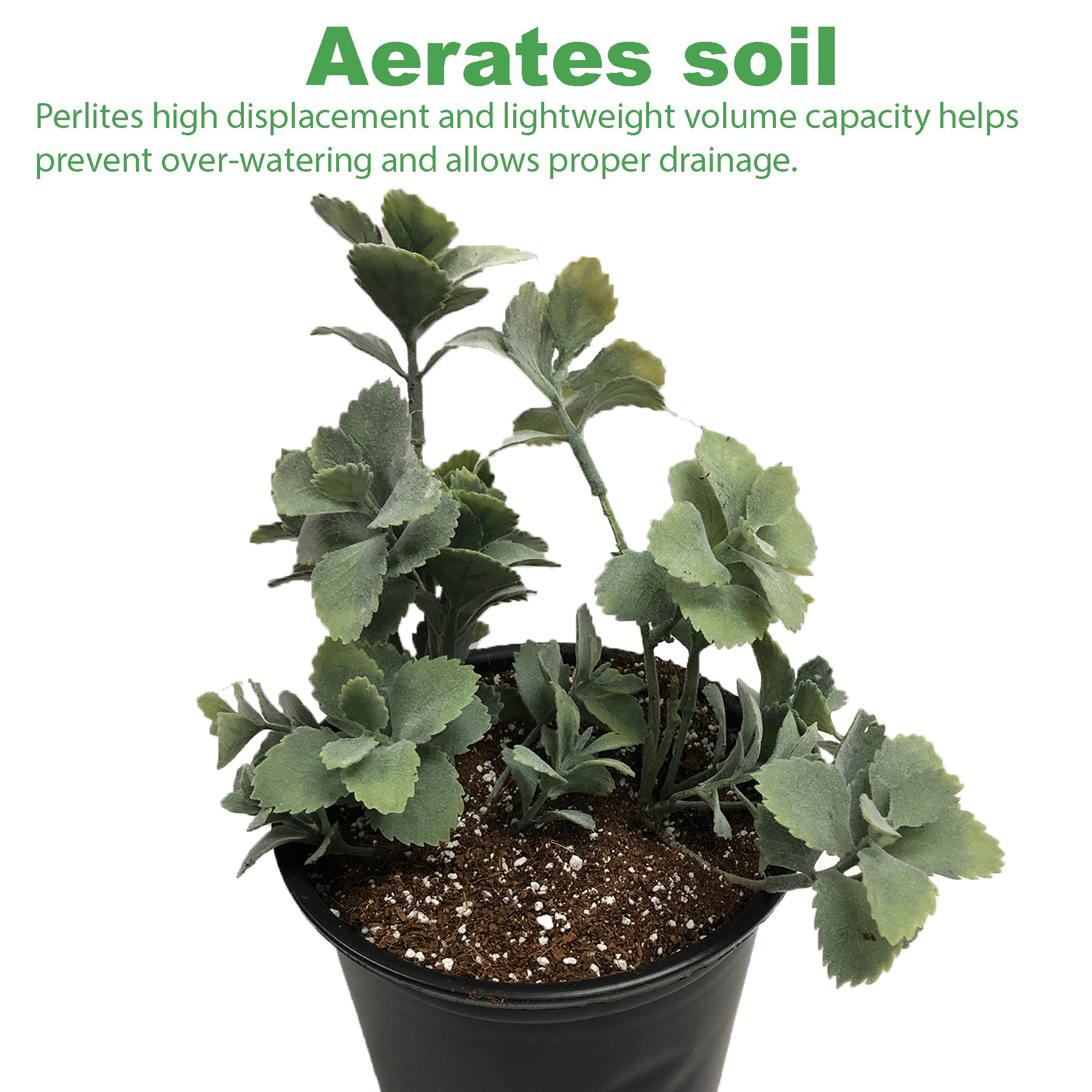 Viagrow 4 cu. ft. Horticultural Perlite (30 Bag Pallet)