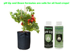 Load image into Gallery viewer, Viagrow Complete Testing &amp; Adjusting pH Control Kit, Crystal
