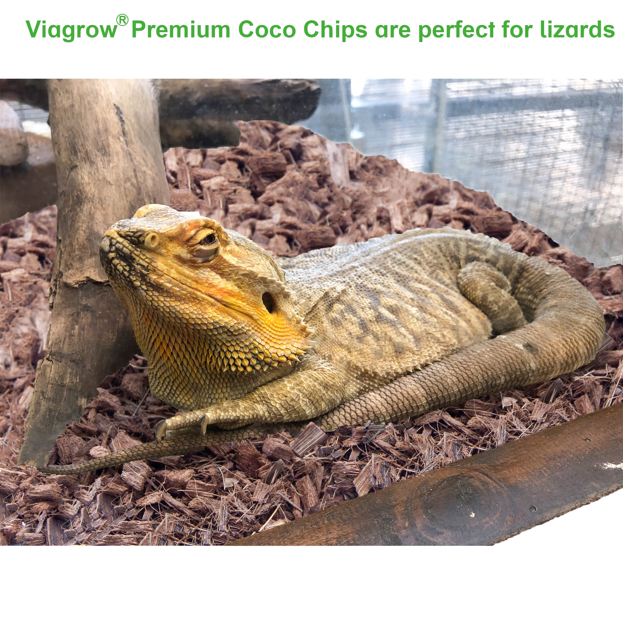 Viagrow Premium Coconut Sustrato para reptiles, 52 cuartos / 50 litros / 13 galones / 1.75 cu. Palet de 60 pies