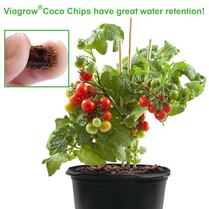 Viagrow 5KG Coco Chips, Pallet of 198