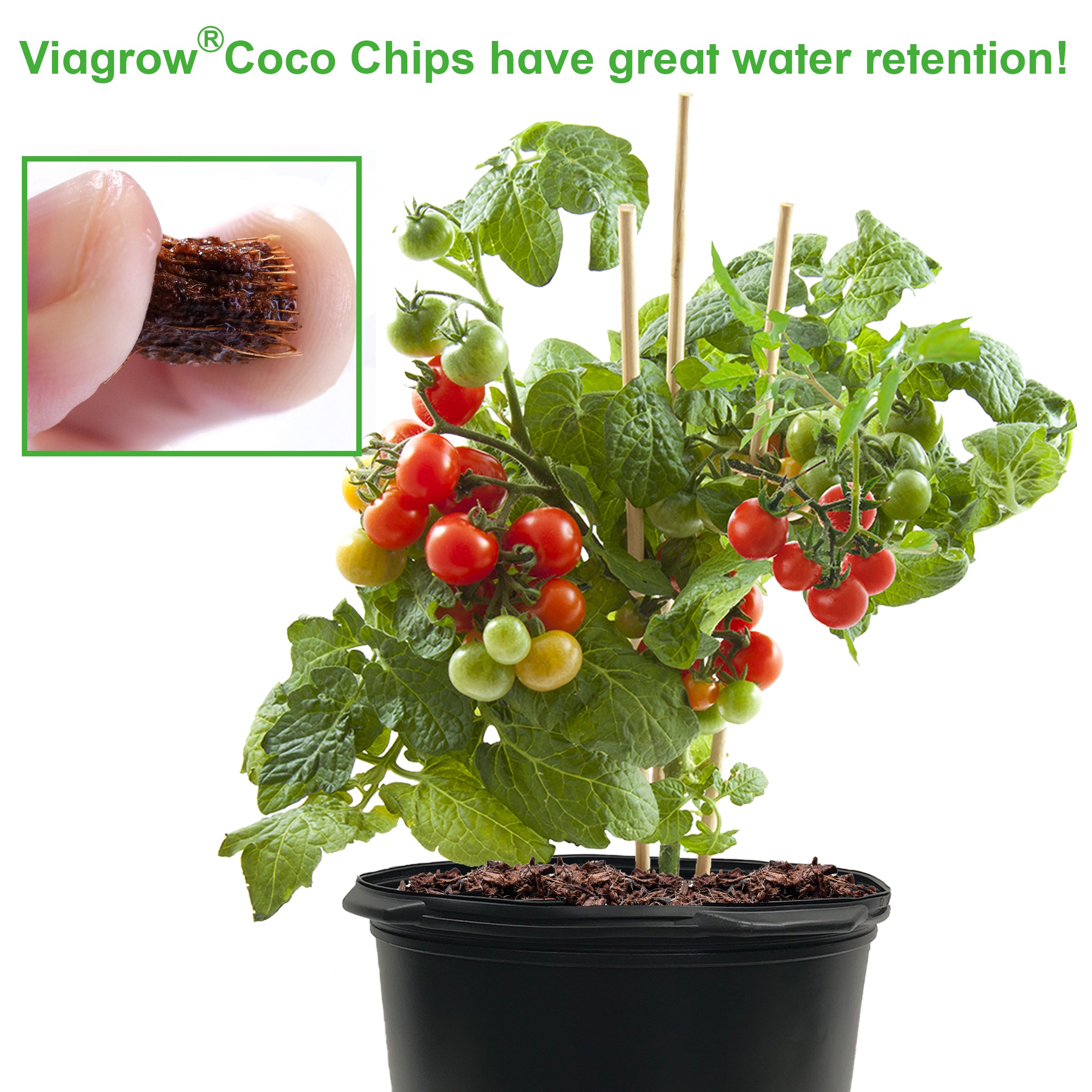 Viagrow 1.75 cu. ft. Coco Coir Chips, Premium Reptile Substrate Bedding 52 qt. / 50 L / 13 Gal. (2-Pack)