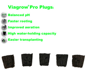 ViaGrow 50-Site Super Plugs avec Insert (Pack de 12)